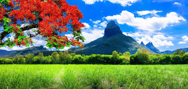 Why One Successful British Hindu Family Left the UK for Mauritius&mdash;and Never Looked Back