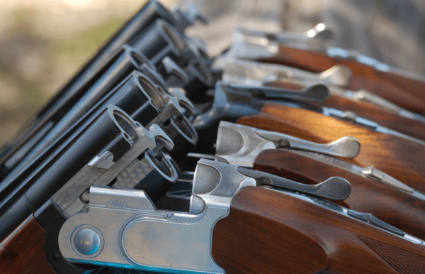 Peace, Not Pistols&##x3a; How Mauritius Keeps Firearms Under Control