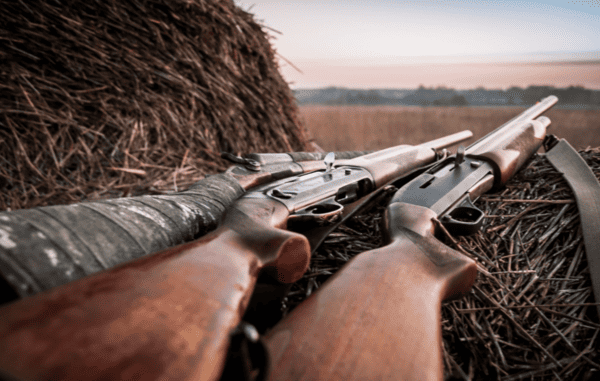 Peace, Not Pistols&##x3a; How Mauritius Keeps Firearms Under Control