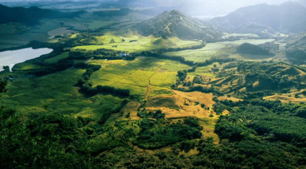 How the Hamiltons From The UK Protected Their Wealth and Their Future By Moving to Mauritius