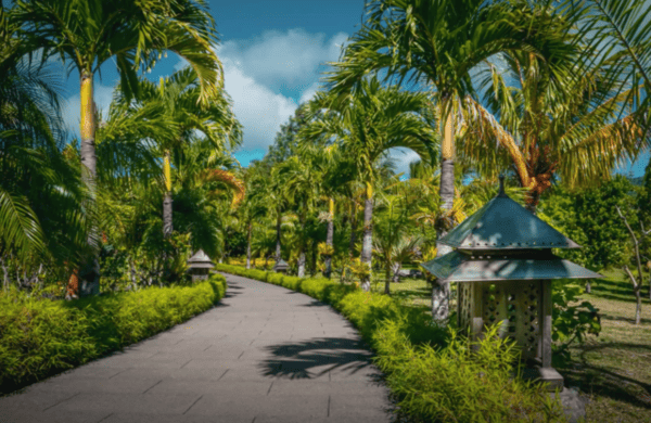 How the Hamiltons From The UK Protected Their Wealth and Their Future By Moving to Mauritius