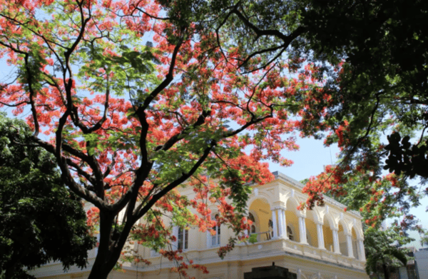 How the Hamiltons From The UK Protected Their Wealth and Their Future By Moving to Mauritius