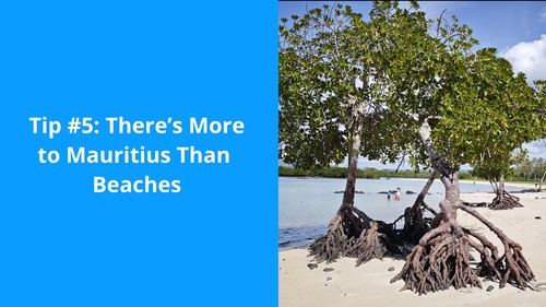 Retirement in Mauritius. Tip