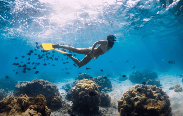 Why Wealthy British Citizens Are Turning to Mauritius