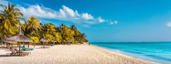 From Sugar Fields to Silicon Dreams&##x3a; The 50-Year Transformation of Mauritius