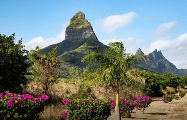 From Sugar Fields to Silicon Dreams&##x3a; The 50-Year Transformation of Mauritius