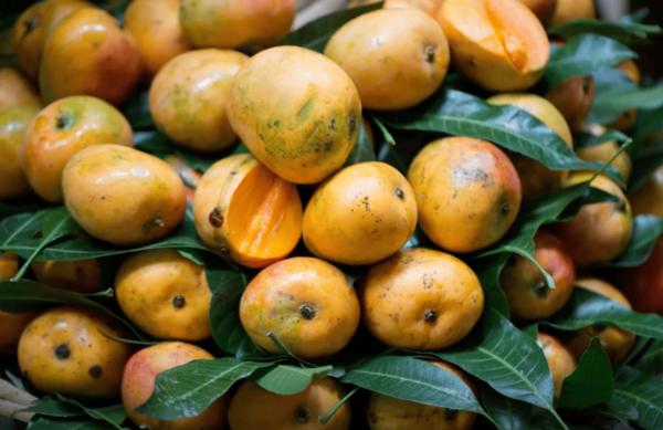 Why Food in Mauritius Is Cleaner, Safer, and Closer to Europe Than You Think